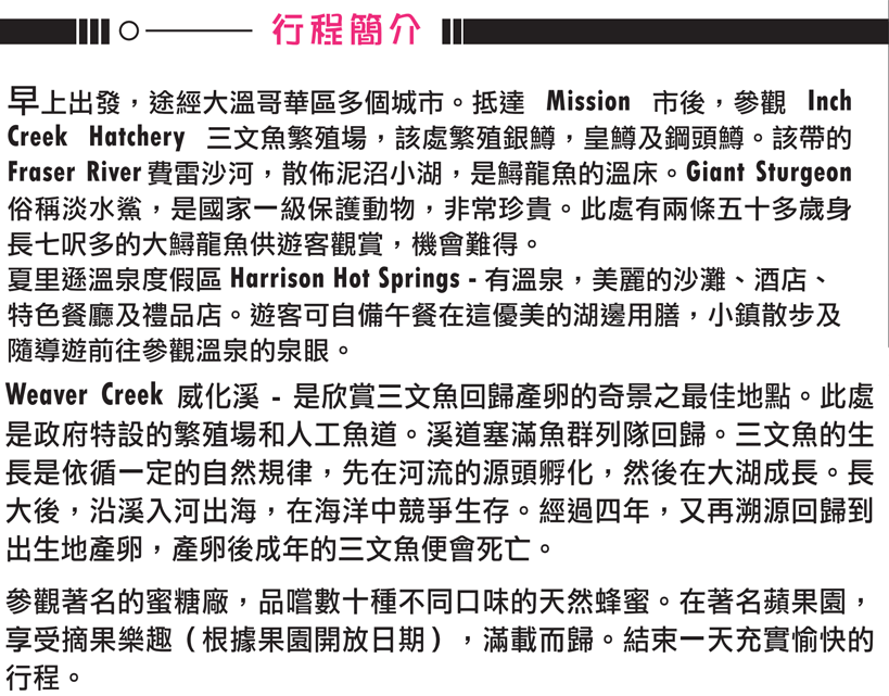 Screenshot (39).png