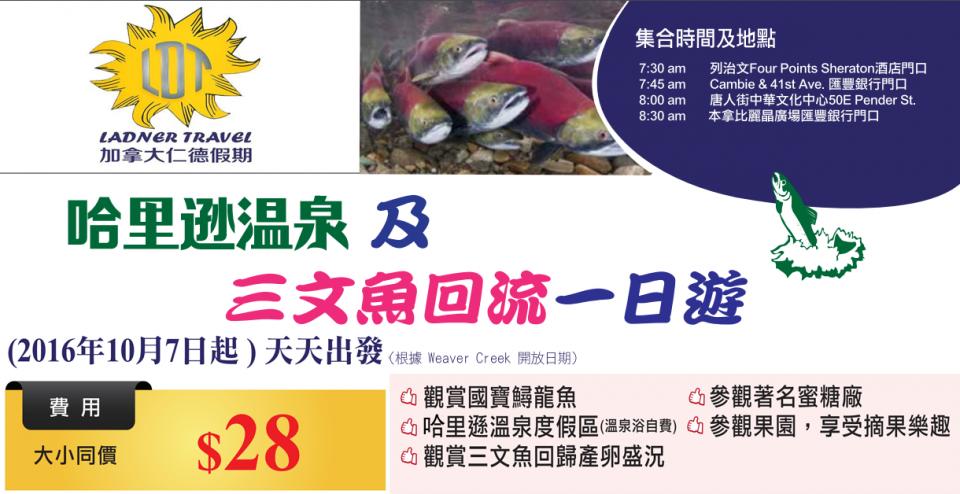 Screenshot (38).png