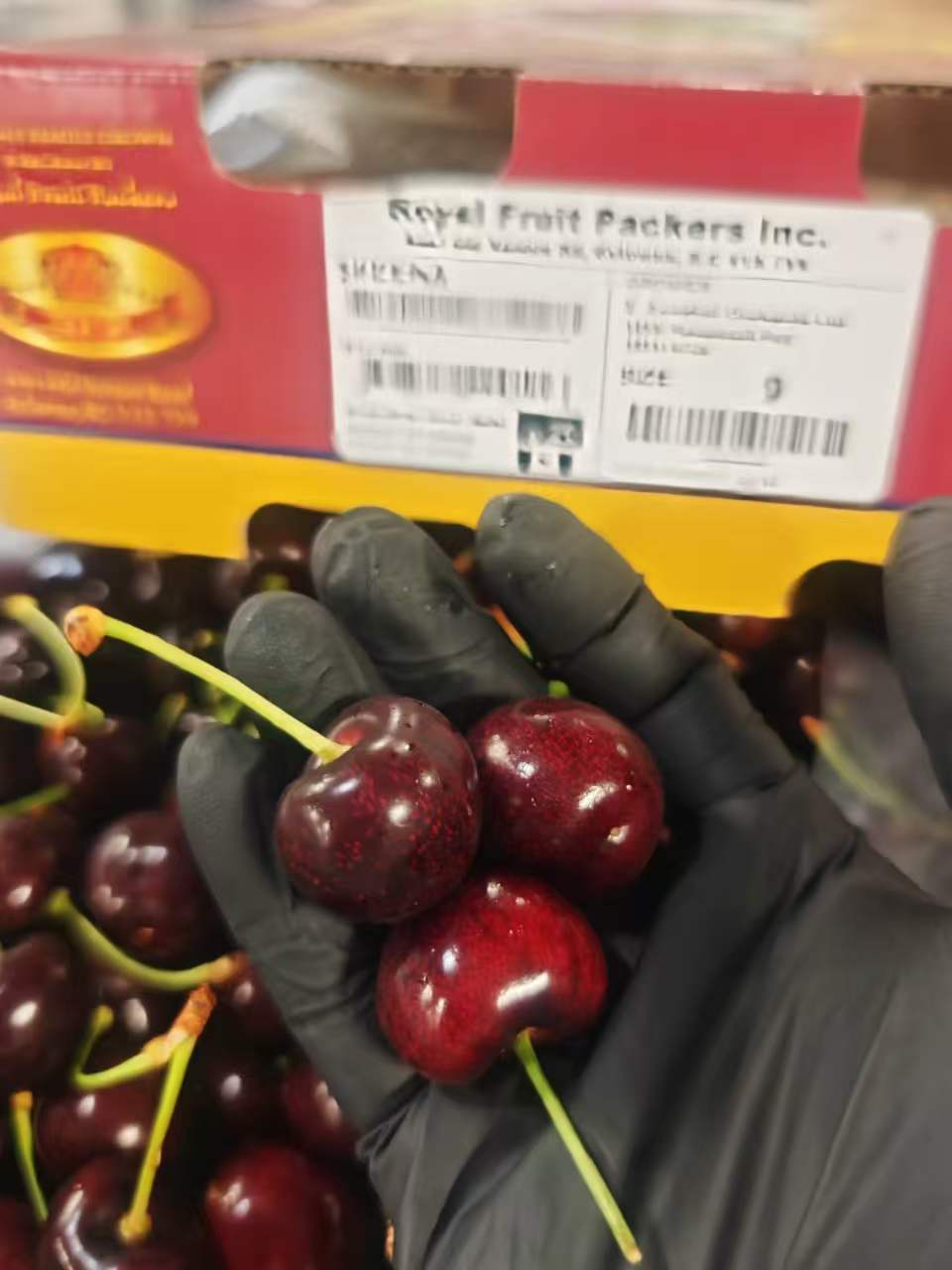 1784228707893833.jpg 1784228707893833.jpg